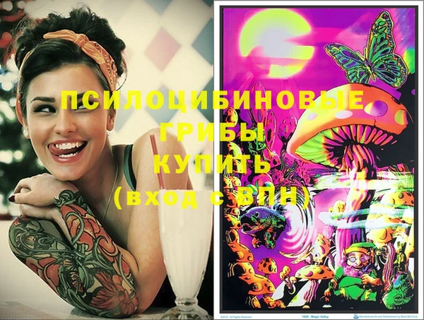 героин Михайлов
