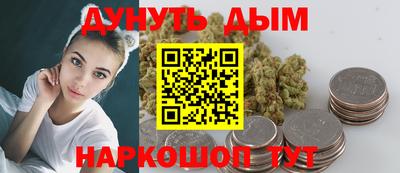 стаф Дубна