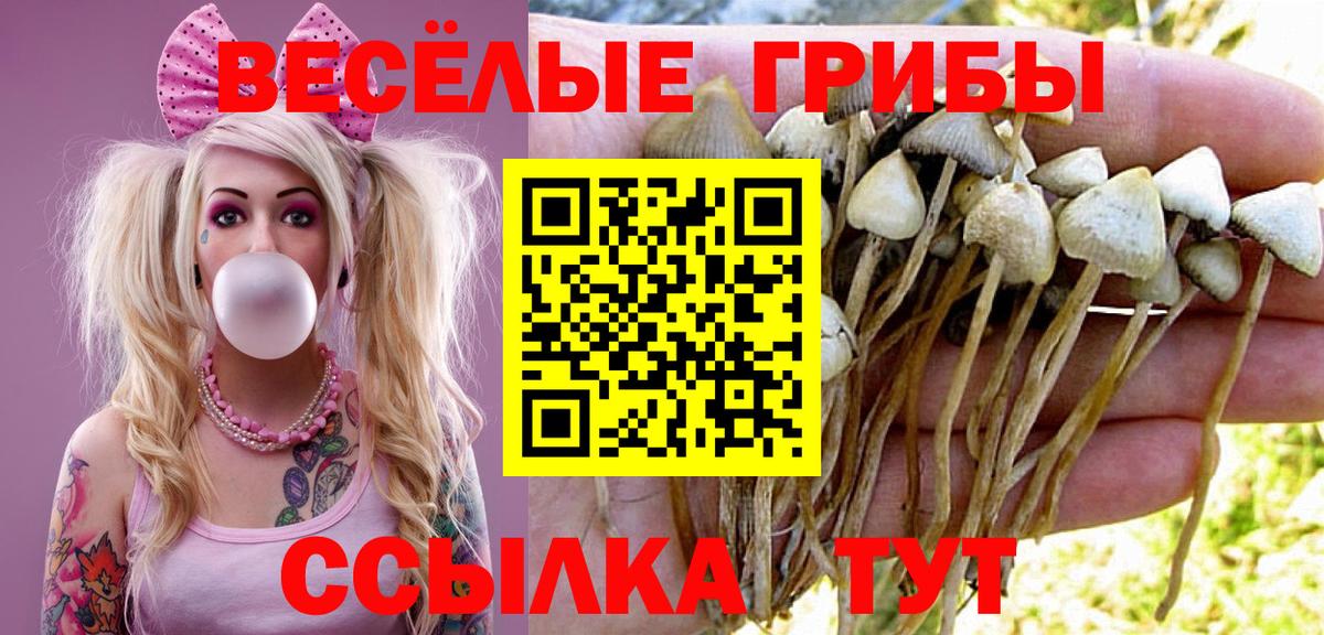 Псилоцибиновые грибы MAGIC MUSHROOMS  Железногорск  Псилоцибиновые грибы MAGIC MUSHROOMS 