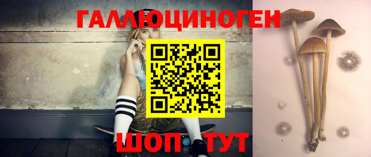 сколько стоит  Галлюциногенные грибы MAGIC MUSHROOMS  Железногорск  Галлюциногенные грибы Cubensis 