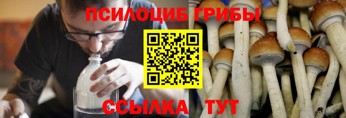 Галлюциногенные грибы мицелий Железногорск